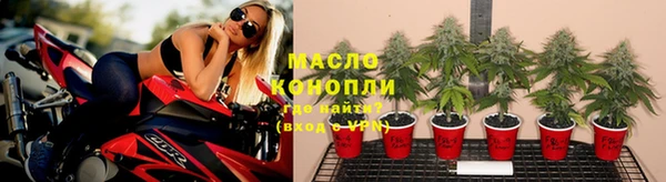 молекула духа Белоозёрский