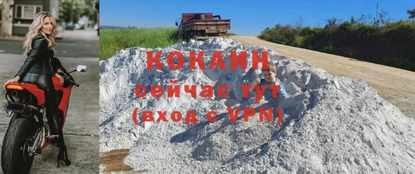 молекула духа Белоозёрский