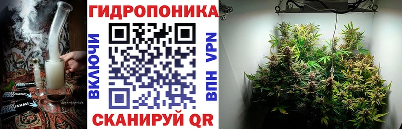 Конопля конопля Лянтор